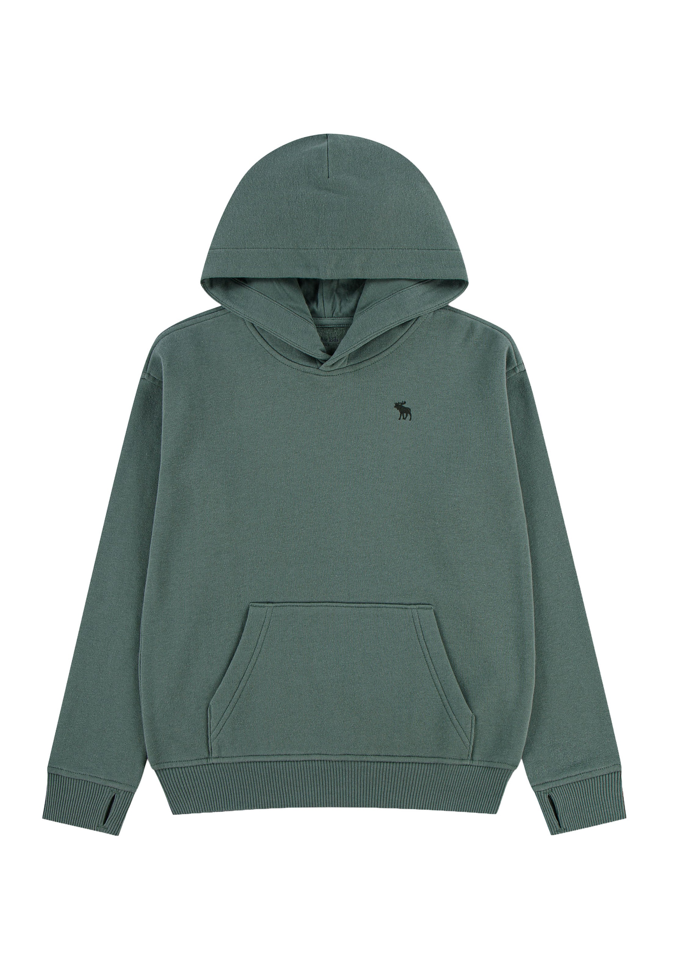 Felpa 'ESSENTIALS FLEECE' di Abercrombie & Fitch in verde: frontale