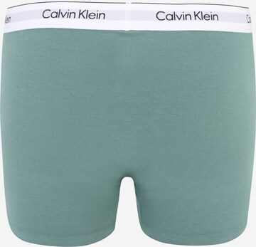 Calvin Klein Underwear Plus Bokserishortsit värissä harmaa