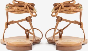 Kazar T-bar sandals in Brown