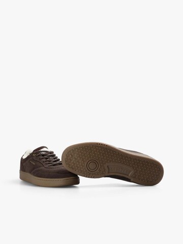 Scalpers Salamanca Sneakers ' ' in Braun