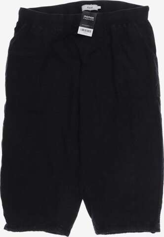 Zizzi Shorts in L in Black: front