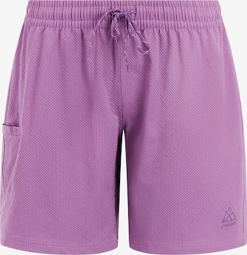 PROTEST Boardshorts 'PRTAgaat 25' in Lila: Vorderseite