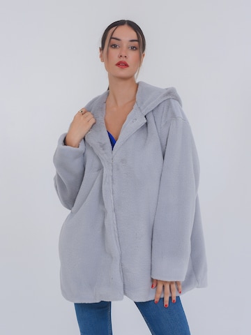 FRESHLIONS Winter Jacket ' Madita ' in Grey: front