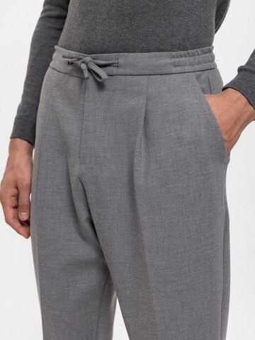 Antioch Regular Pleat-front trousers in Grey