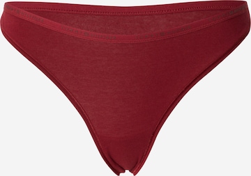 Tommy Hilfiger Underwear Thong in Red: front