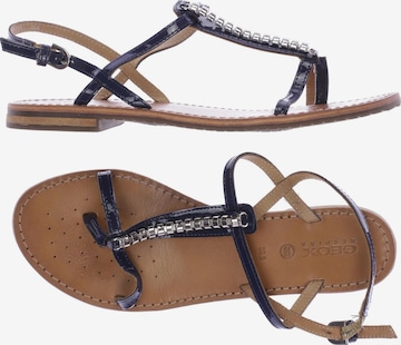 GEOX Sandalen 39,5 in Blau: predná strana