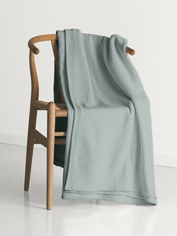 Cradle Studio Blankets in Green