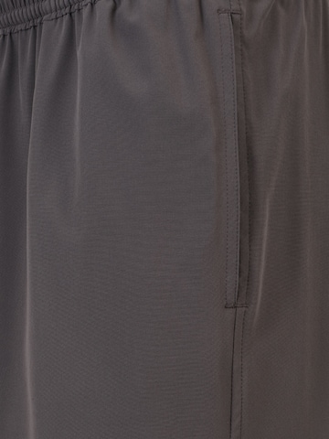 Shorts de bain 'TRAVELER' Polo Ralph Lauren en gris