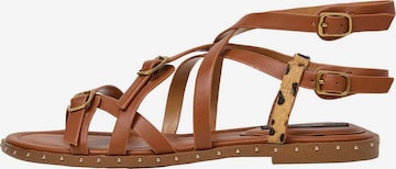 Sandalo 'Dyana' di Pepe Jeans in marrone: frontale