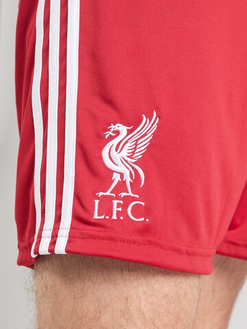 ADIDAS PERFORMANCE - regular Pantalón deportivo 'LFC' en rojo