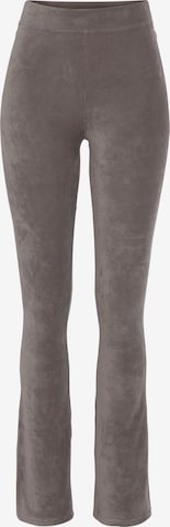 LASCANA Flared Pants in Grey: front