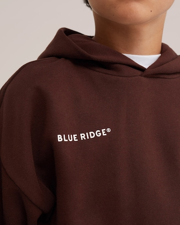 WE Fashion Sweatshirt in Brown