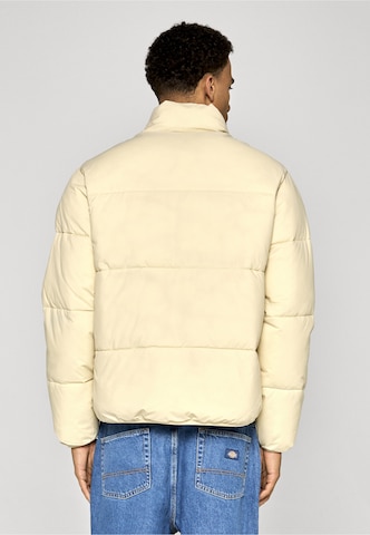 DICKIES Winter Jacket 'Summerdale' in Beige