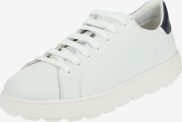 GEOX Sneakers in White: front