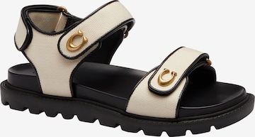 COACH Sandaalit värissä beige: etupuoli