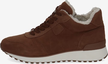 CAPRICE High-Top Sneakers in Brown