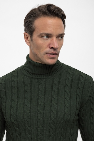 Felix Hardy Pullover in Grün