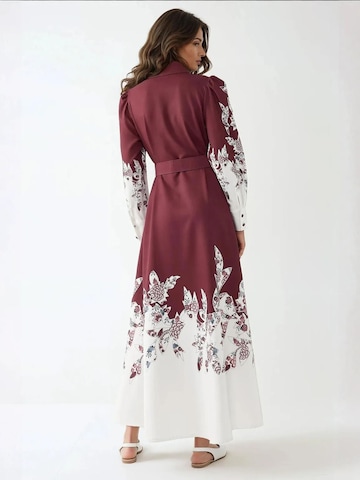 Hiccup Blousejurk in Rood