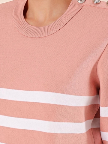 Bigdart Trui in Roze