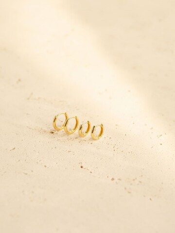 Hey Happiness Oorbel 'Poise' in Goud