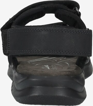 CLARKS Sandale 'Hapsford Creek' in Schwarz