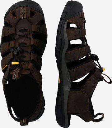 KEEN Sandalen 'CLEARWATER CNX' in Bruin