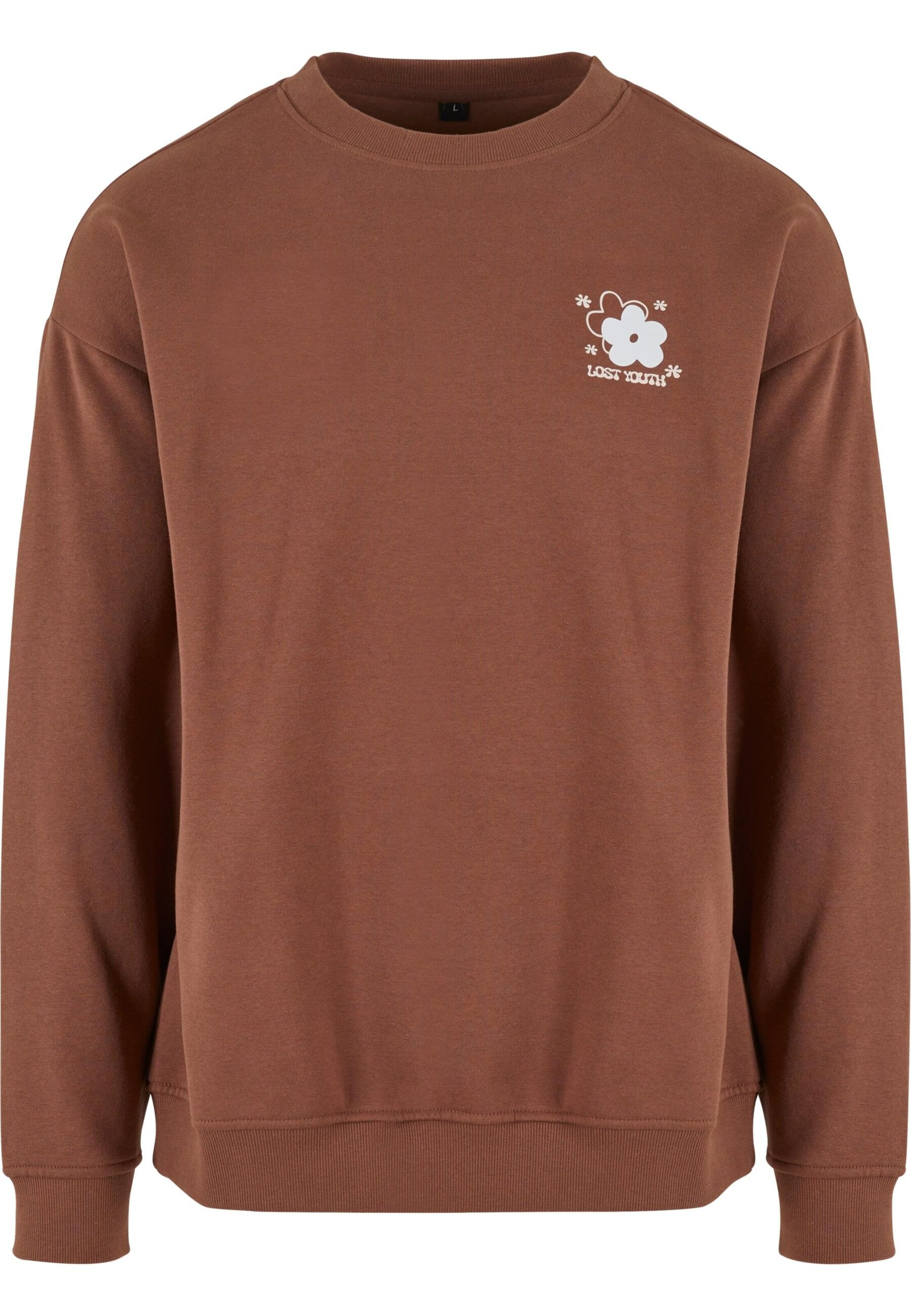 Lost Youth Sweatshirt in Brown: front