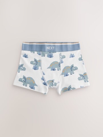 Pantaloncini intimi di Next in colori misti