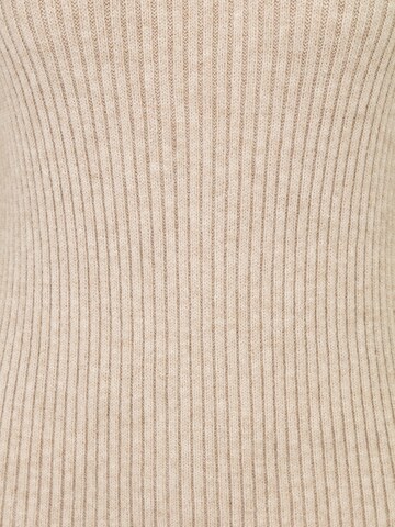 Abito in maglia 'ONLKATIA' di Only Petite in marrone