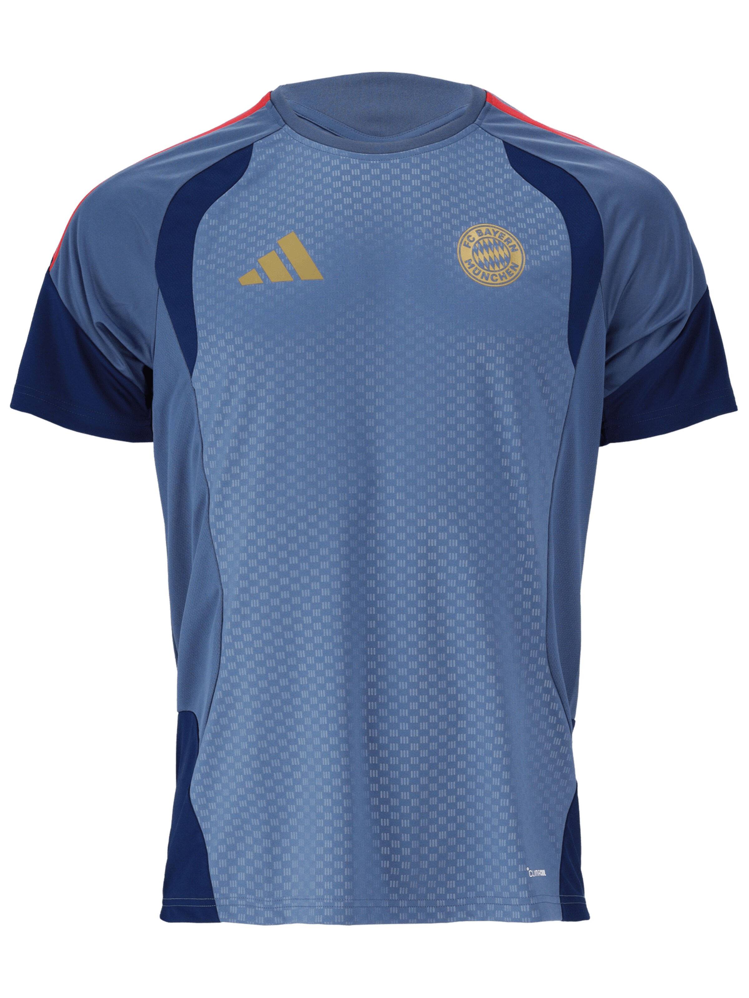 ADIDAS PERFORMANCE Shirt in Blue / Red, Item view