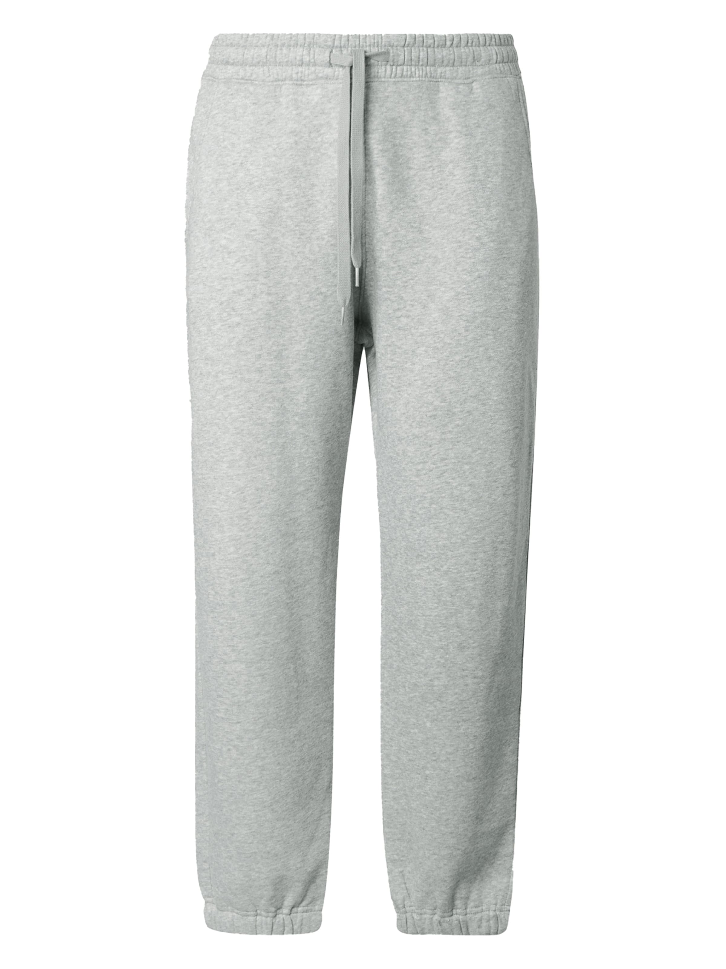 HOLLISTER Tapered Παντελόνι σε γκρι: μπροστά