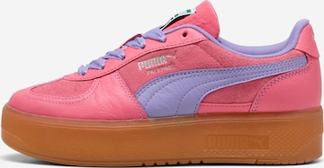 PUMA Низкие кроссовки 'Palermo Elevata CF' в Ярко-розовый: спереди