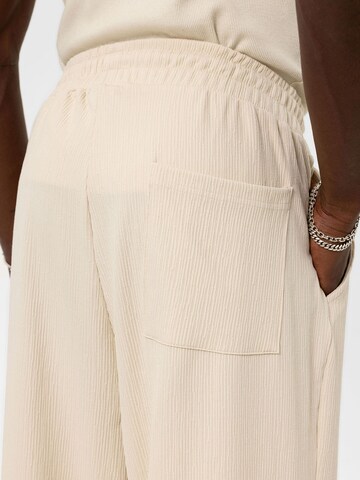 Loosefit Pantaloni 'Golden Alexander' di VAMOS CLO in beige