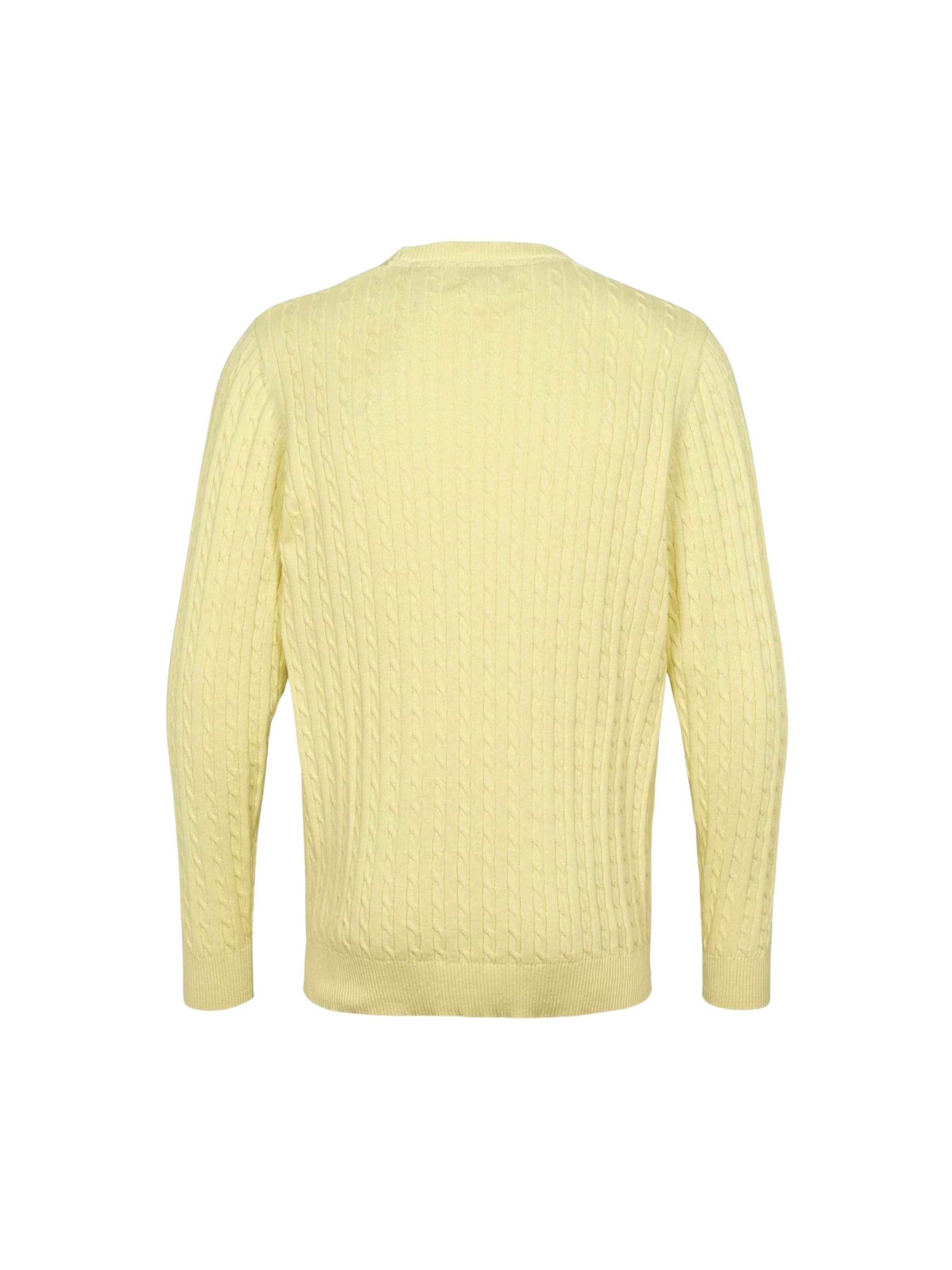 U.S. POLO ASSN. Pullover ' Mads ' in Gelb