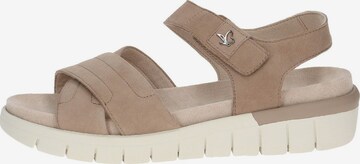 CAPRICE Sandals in Brown