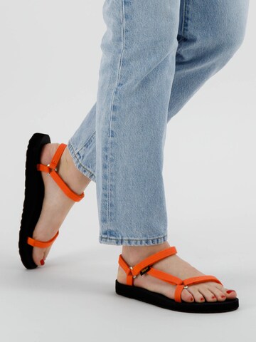 TEVA Hiking Sandals in Orange: front