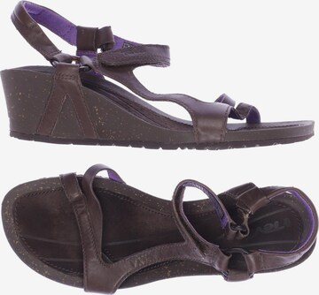 TEVA Sandalen 38 in Braun: predná strana