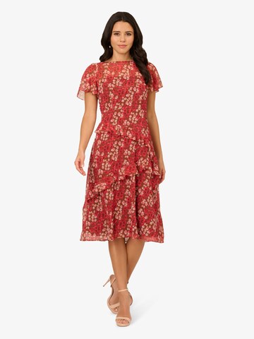 Adrianna Papell Jurk in Rood