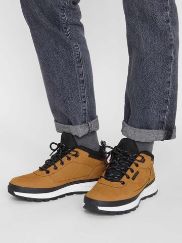 TIMBERLAND Sneaker low 'Field Trekker' i brun: forside