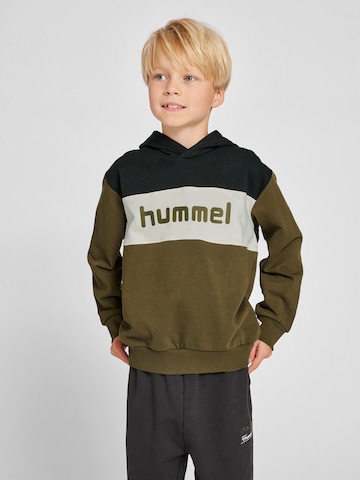 Hummel Sweatshirt in Groen