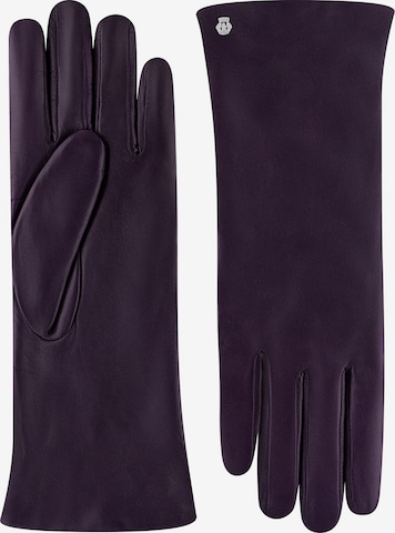 Roeckl Lederhandschuhe 'MOSKAU' in Lila: Vorderseite