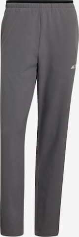 Pantaloni per outdoor 'Multi Liteflex' di ADIDAS TERREX in grigio: frontale