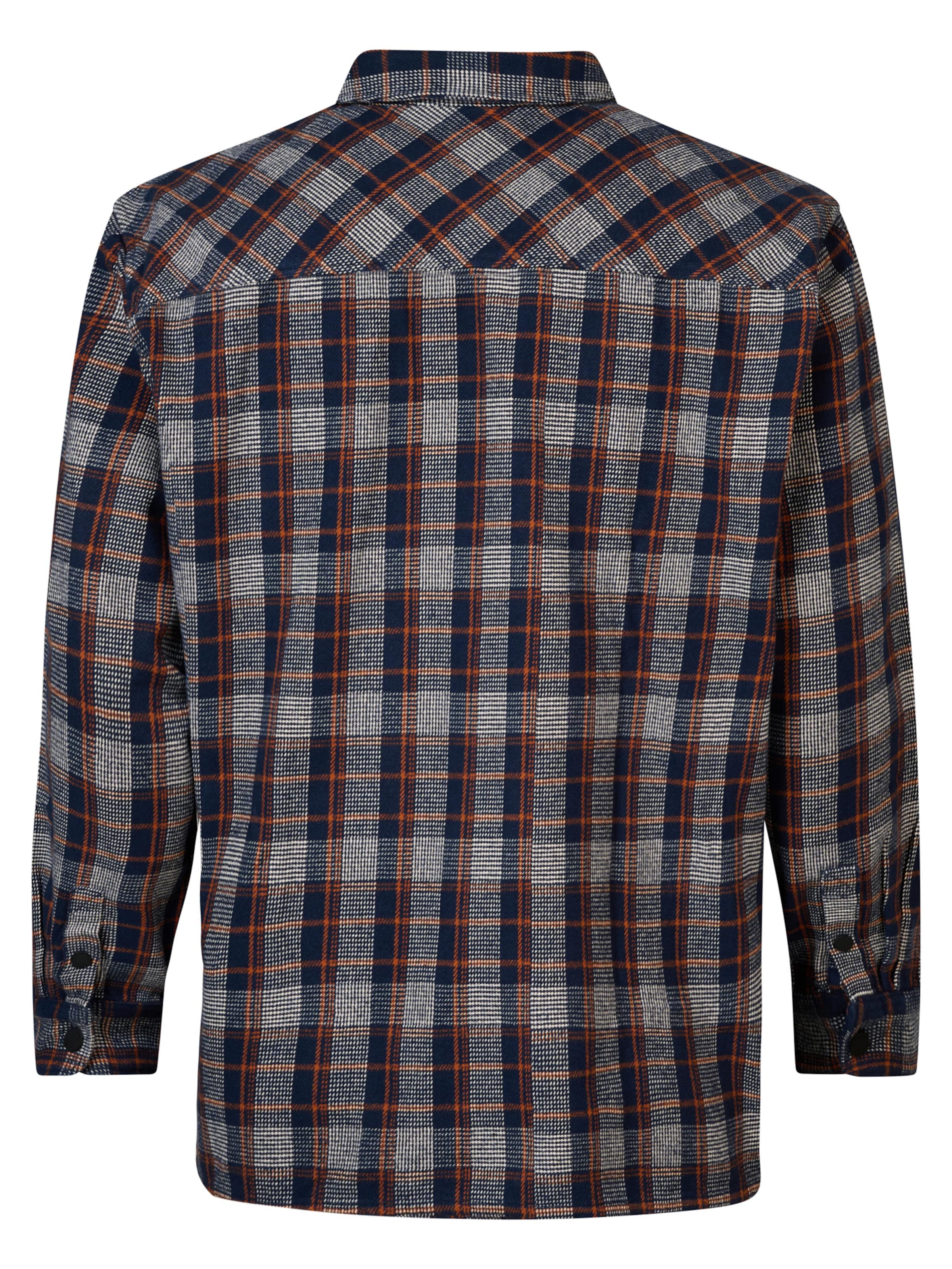 Petrol Industries Regular fit Button Up Shirt 'Southeast' in Blue