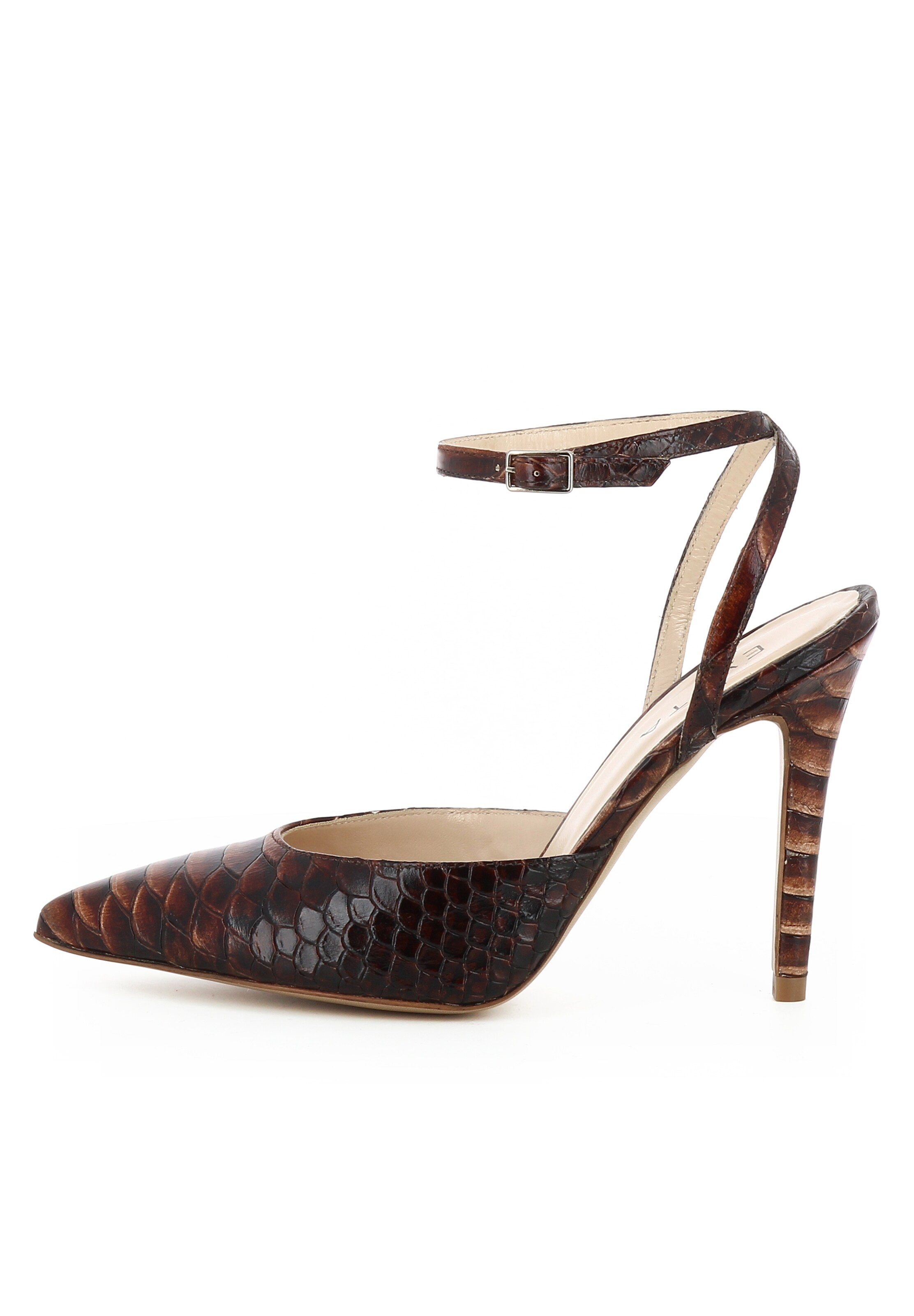 EVITA Pumps in Bruin