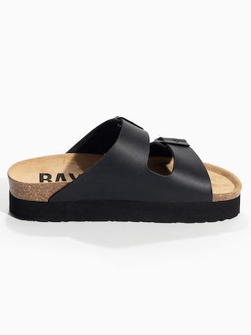 Bayton Mule 'JAPET' in Black