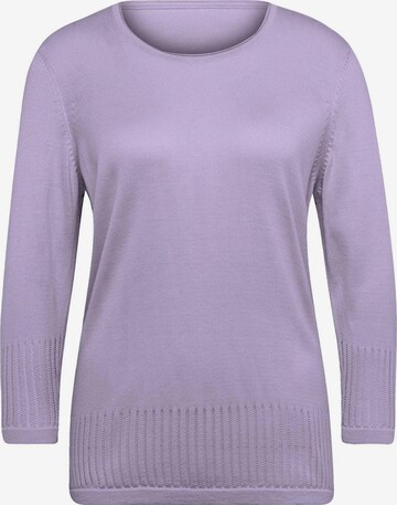 Goldner Sweater in Purple: front