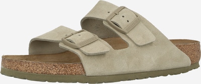 BIRKENSTOCK Pistokkaat 'Arizona LEVE' värissä pastellinvihreä, Tuotenäkymä