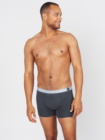 Erlich Textil Boxer shorts 'Gustav' in Grey: front