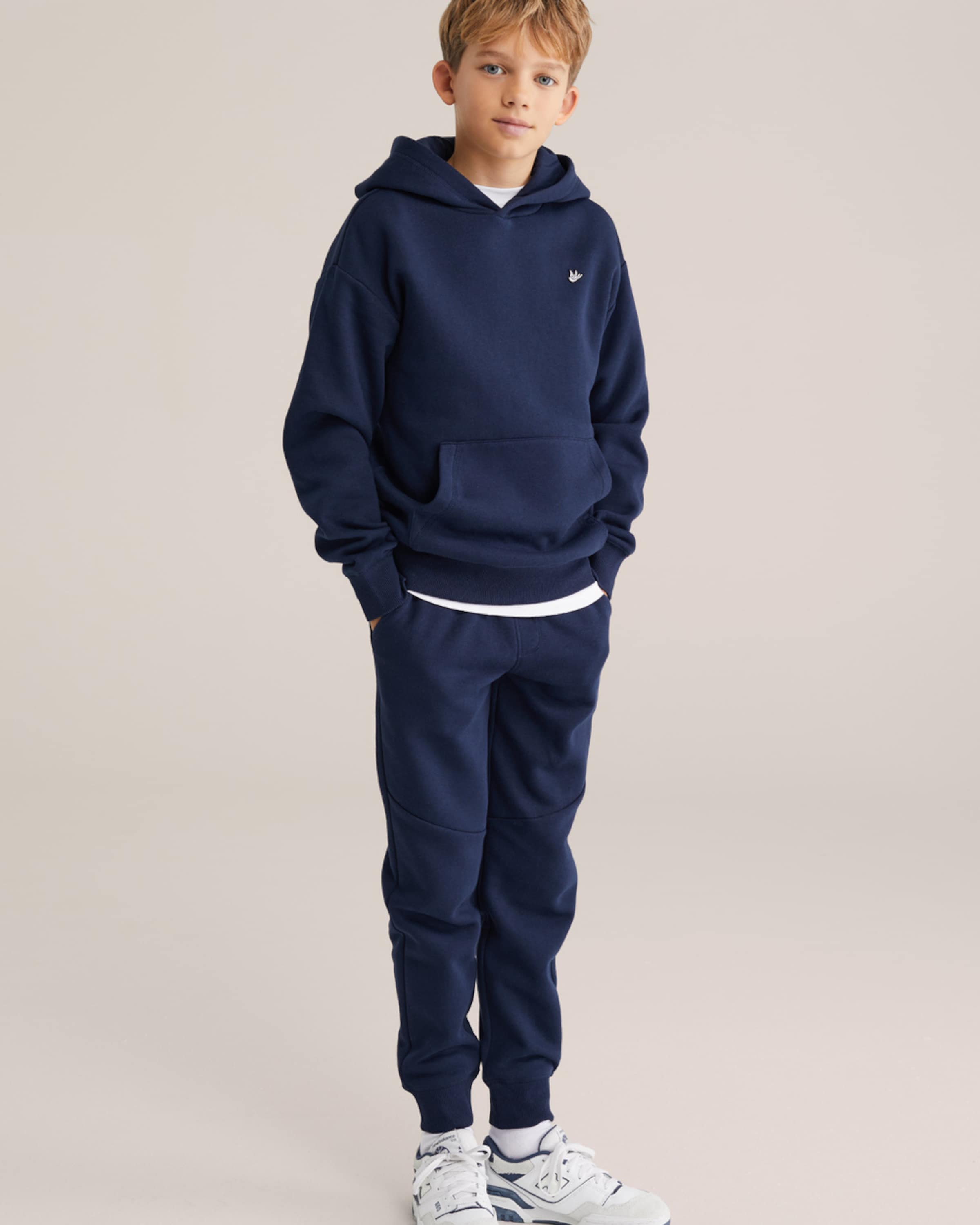 WE Fashion Regular Trousers in Blue
