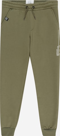 Tapered Pantaloni di STACCATO in verde: frontale